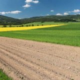 Využití bilancí živin z polního pokusu VÚRV pro určení dávek minerálních hnojiv (2): Draslík