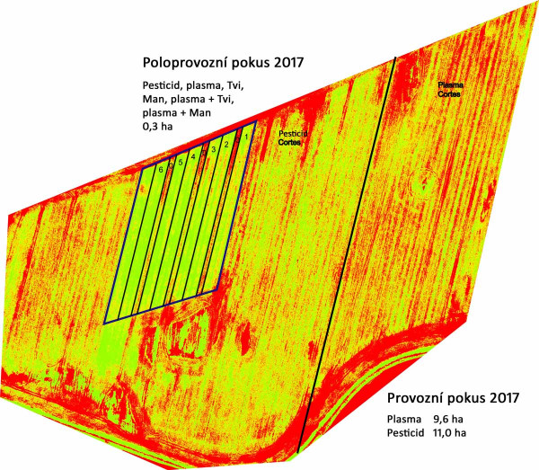 Letecký snímek pole řepky ozimé s poloprovozním a provozním pokusem (pořízeno pomocí dronu)