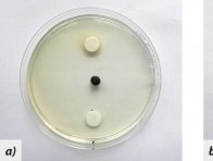 a) Bumper, b) Efilor, c) Prosaro - horní sterilní terčík ponořen do fungicidu, spodní do sterilní vody - kultura Oculimacula sp. na PDA po 4 týdnech kultivace (18 °C, tma)