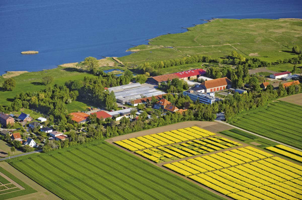 Sídlo společnosti Norddeutsche Pflanzenzucht se skleníky a linkou na zpracování osiva se nachází na ostrově Poel