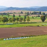 Vliv půdní organické hmoty na chování pesticidů v půdě