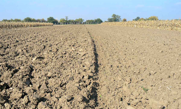 Obr. 4: Odlišné technologie zpracování půdy: konvenční technologie (orba) - vlevo; minimalizační technologie (mělké kypření) - vpravo