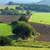 Vliv hnojení statkovými a minerálními hnojivy na výnos a kvalitu pšenice ozimé na stanovištích Ivanovice na Hané a Lukavec v letech 2015‒2018