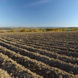 Půdní organická hmota jako významný faktor úrodnosti půd