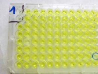 ELISA deska s pozitivní reakcí na přítomnost TuYV - žluté zbarvení - měřena absorbance, což je množství světla pohlcené měřeným vzorkem