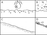 Účinky dopadajících velkých kapek na povrch půdy a postup vodní eroze (Derpsch a kol. 1991); A, B – účinky dopadu kapky s velkou kinetickou energií; C, D – malé částečky půdy po dopadu kapek ucpou povrchovou vrstvu půdy, stékající voda unáší malé částečky půdy, na místech s menším sklonem půdy dochází k usazování částic půdy