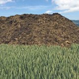Statková hnojiva jako možný zdroj zaplevelení