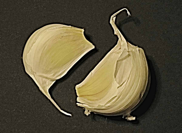 Stroužky sadbového česneku