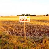 Výsledky pokusov s prípravkami Galleko v sezóne 2018/19 vo vybraných plodinách