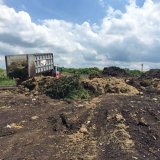 Kompostování bioodpadů jako zdroj zaplevelení