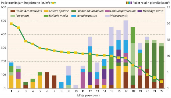 Graf 1: Hustota porostu jarního ječmene a zaplevelení