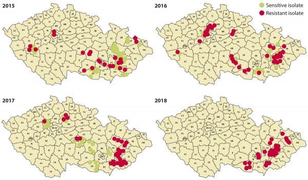 Mapa 1: Výskyt rezistentní reakce Zymoseptoria tritici vůči strobilurinům v letech 2015–2018 na našem území
