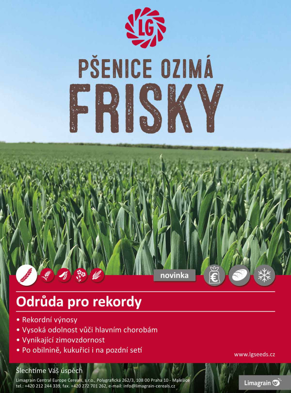 Frisky - Odrůda pro rekordy