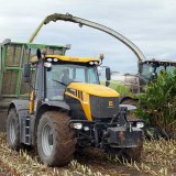 Hybridům kukuřice Pioneer se na střední Moravě daří