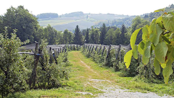 2a, 2b: Ekologické sady ve Štýrsku, Rakousko