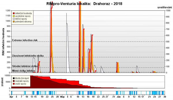 Graf: Průběh primárních infekcí strupovitosti na Jičínsku  dle modelu RIMpro