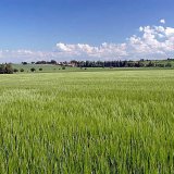 Program pro výpočet možné nejnižší dávky P-hnojiva pro zajištění půdní úrodnosti