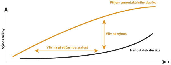 Graf: Vliv příjmu dusíku na výnos sušiny