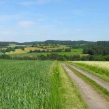 Pesticidy a jejich nálezy v zemědělské půdě