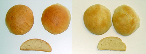 Obr. 2: Barva kůrky chleba při různých hladinách sirné výživy (Hřivna 2010)