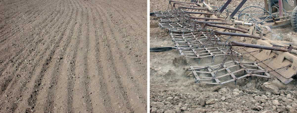 Obr. 5: Kvalita práce hřebových bran je závislá na půdních podmínkách