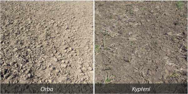 Obr. 1: Stav povrchu pozemku na hodnocených variantách v březnu 2016, orba vlevo, kypření vpravo