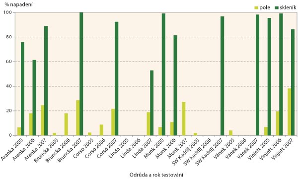 Graf: Infekční testy odrůd jarní pšenice na rezistenci vůči mazlavým snětím na poli a ve skleníku (2005–2007)