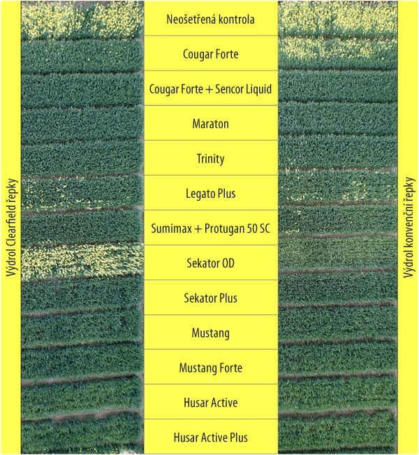 Herbicidní varianty pokusu s výdrolem řepky v pšenicí ozimé