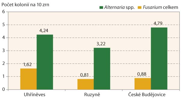 Graf 1: Míra napadení zrn houbami rodů Alternaria a Fusarium, průměr 2 odrůd