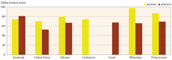 Graf 1: Vliv biopřípravků na rozvoj kořenů pšenice jarní a ječmene jarního (5 týdnů staré)