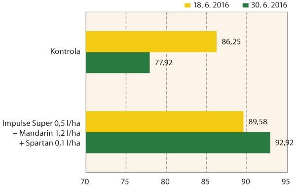 Graf 1: Podíl zelené listové plochy ozimé pšenice (Rumor, Ing. Bezdíčková, Ph.D., Ditana spol. s r.o., 2016)
