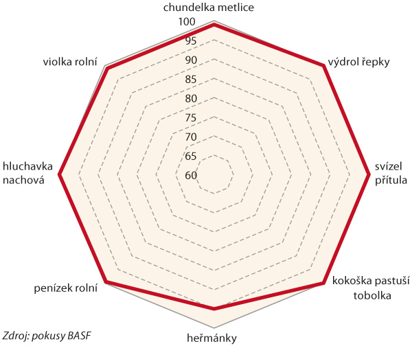 Graf 1: Účinnost přípravku Chocker® na hlavní plevele, které se nejčastěji vyskytují při inventarizaci porostů v ČR