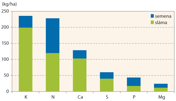 Graf 3: Průměrný odběr čistých živin porostem ozimé řepky a jejich distribuce v semeni a slámě (při výnosech 3– 4 t/ha)