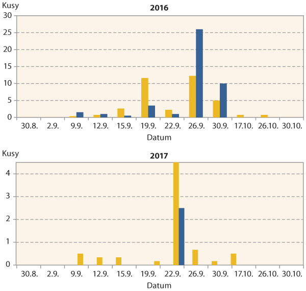 Graf 1: Dřepčík olejkový - průměrný počet brouků zachycených na jednu misku (žlutě) a jednu okenní past (modře) v podzimním období v Praze-Ruzyni v letech 2016 a 2017