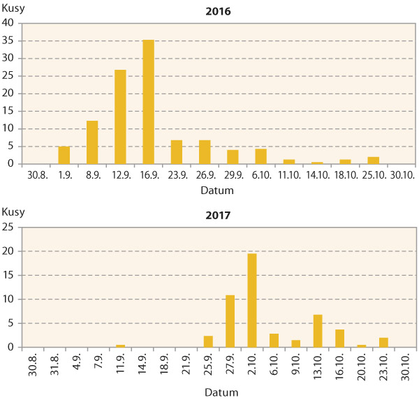 Graf 2: Průměrný počet brouků dřepčíka olejkového zachycených na jednu misku (žlutě) v podzimním období v Troubsku u Brna v letech 2016 a 2017