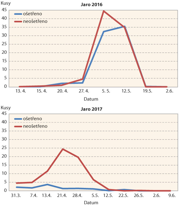 Graf 3: Průměrný počet larev dřepčíka olejkového na jednu rostlinu nalezených ke každému termínu hodnocení ve stoncích všech tří odrůd ozimé řepky; vlevo - jaro 2016, vpravo - jaro 2017 na poli ošetřovaném insekticidy (modře) a neošetřovaném insekticidy (červeně)