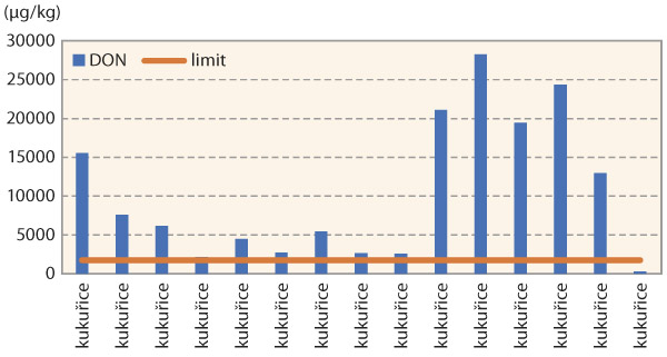 Graf 1: Obsah DON v zrnu kukuřice - 2014