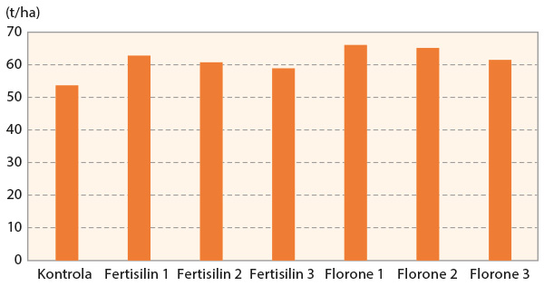 Graf 3: Úroda buliev repy cukrovej v závislosti od termínu aplikácie prípravkov Florone a Fertisilinu