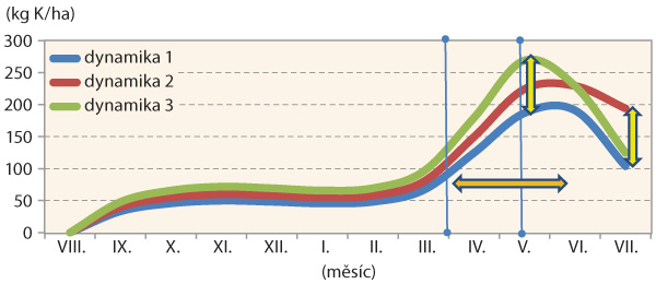 Graf 1: Potřeba draslíku ozimou řepkou v průběhu vegetace  s vyznačením rozdílu v celkové potřebě draslíku a délce období intenzivního příjmu