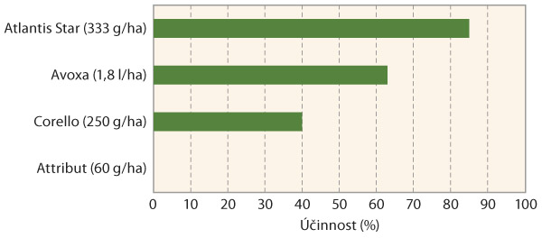 Graf 3: Porovnání účinnosti herbicidů s graminicidním účinkem na mrvku myší ocasek při jarním ošetření (data pouze z jednoho pokusu provedeného v roce 2019 - extrémně suché podmínky, herbicid Atlantis Star byl použit s adjuvantem Biopower, Corello s adjuvantem Šaman a Attribut s adjuvantem Mero)