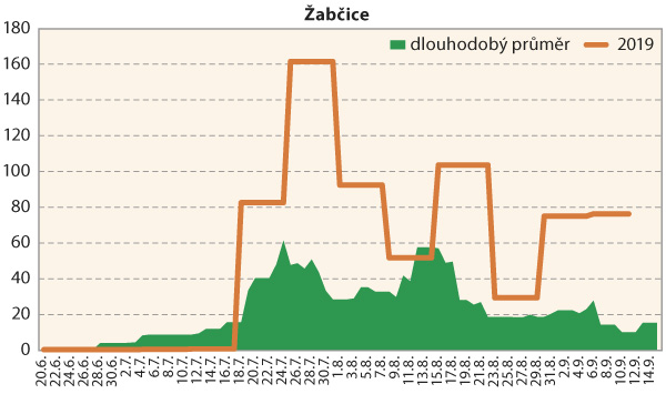 Graf 2: Srovnání průměrné denní početnosti dospělců bázlivce kukuřičného na lokalitě Žabčice v roce 2019 s dlouhodobým normálem