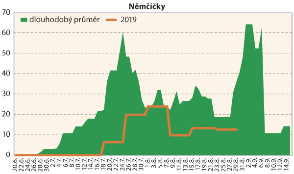 Graf 3: Srovnání průměrné denní početnosti dospělců bázlivce kukuřičného na lokalitě Němčičky v roce 2019 s dlouhodobým normálem