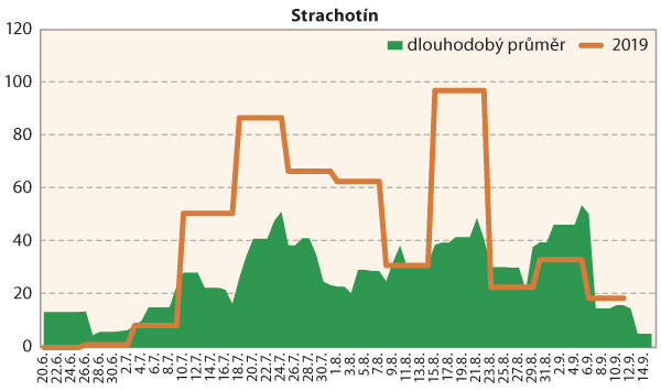 Graf 4: Srovnání průměrné denní početnosti dospělců bázlivce kukuřičného na lokalitě Strachotín v roce 2019 s dlouhodobým normálem