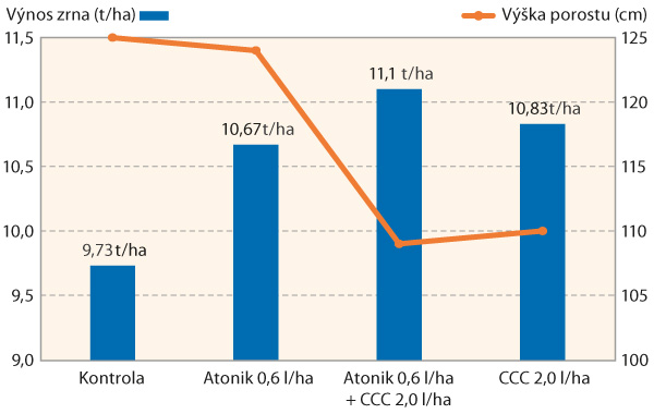 Graf 1: Vliv aplikace Atoniku a regulátoru růstu na výšku porostu a výnos zrna ozimé pšenice (odr. Bohemia, Ditana, 2016)