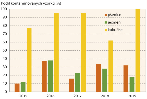 Graf 1: Podíl kontaminovaných vzorků pšenice, ječmene a kukuřice deoxynivalenolem (obsah > 20 μg/kg) v letech 2015–2019 v ČR