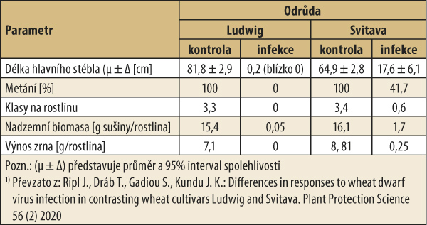 Tab. 1: Sklizňová analýza zdravých a WDV nemocných rostlin; Polní pokusy 2009, 2010, 20111)