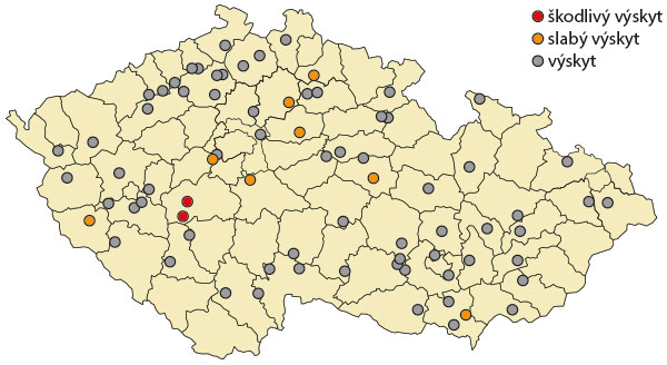 Mapa 1: Výskyt mšice zelné (Brevicoryne brassicae) v květnu 2020