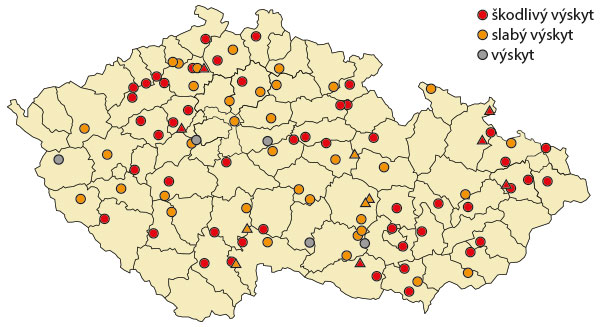 Mapa 2: Výskyt mšice broskvoňové (Myzus persicae) na podzim 2019