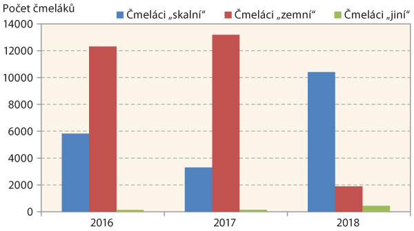 Graf 1: Poměr četnosti tří skupin čmeláků pozorovaných na květech (2016–2018)