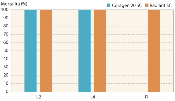 Graf 2: Účinky insekticidů v požerovém testu na larvy L2, L4 a dospělce (D) mandelinky bramborové (mortalita za 96 hodin)